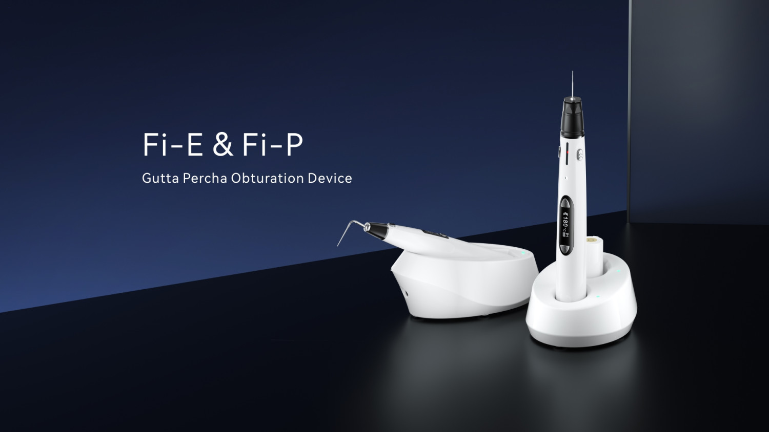 FI- E & FI-P